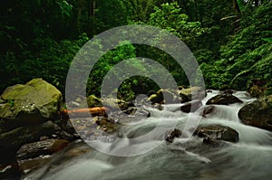 Natural river at the tropical jungle