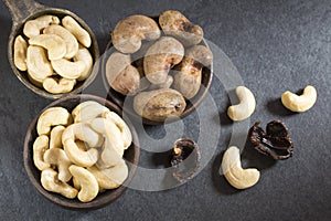 Natural and roasted cashew nut - Anacardium occidentale photo
