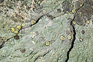 Natural rock with cracks and moss
