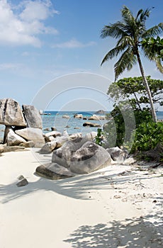 Natural rock formation in the sea and on a white sand beach with a palm tree in Belitung Island.