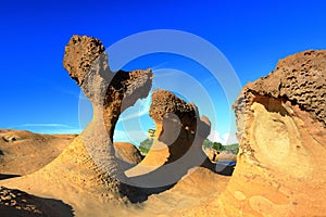 Natural rock formation at Yehliu Geopark, one of most famous wonders in Wanli,