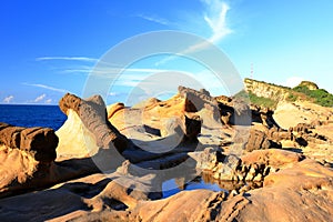 Natural rock formation at Yehliu Geopark, one of most famous wonders in Wanli,