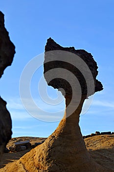 Natural rock formation at Yehliu Geopark, one of most famous wonders in Wanli, New Taipei City,