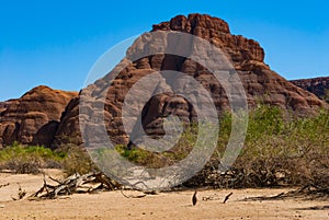 Natural rock formations and dry trees, Chad.