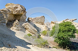 Natural rock formations and sparse vegetation at Lake Arco in Angola`s Namib Desert