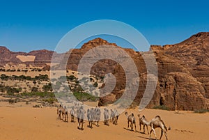 Natural rock formations and walking camels, Chad.