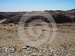 Natural rock mountain texture landscape background of Namib desert unique geography with splitting stone sandy ground, desert tree