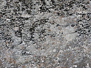 Natural rock wall texture