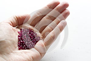 A natural ruby lies in the hand. Natural stones, ruby located in the female hand. The hand holds a ruby. Copy space for your text