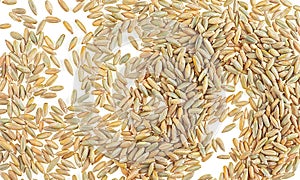 Natural rye grains as background, top view. Agriculture texture