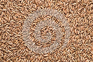 Natural rye grains background