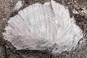 Natural salt rock. Salt texture in Peruvian