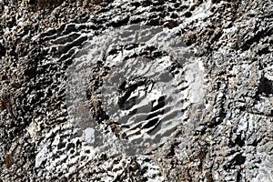 Natural salt rock. Salt texture in Peruvian