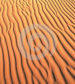Natural sand dunes.