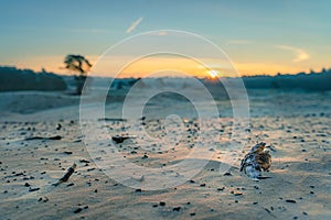 Natural sand plain with rising morning sun and atmospheric grazing light