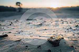 Natural sand plain with rising morning sun and atmospheric grazing light