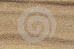 Natural sand texture. Sandy beach background.