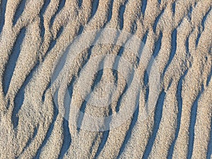 Natural sand texture. Sandy beach for background. Top view