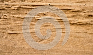 Natural sandstone texture background, wall cut on a sand dune or dune, sandy background for summer designs or backgrounds