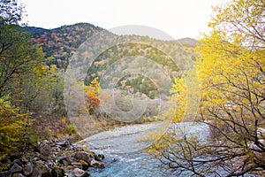 Natural scene of autumn leave fall in Kamikochi