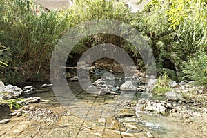 Natural Sceneries of  The Volcanic Hot Springs in Segesta, Province of Trapani, Italy.