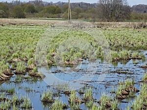 Natural scenery