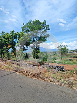 Natural scenery along the road to natural tourist attractions in Kediri Regency, East Java, Indonesia