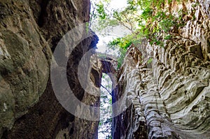 Natural scenery from the famous Ridomo gorge in Taygetus Mountain. The Gorge is deep and rich in geomorphological formation