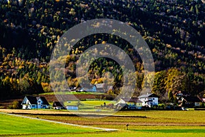 Natural scenery before harvest in Southern Styria, Austria