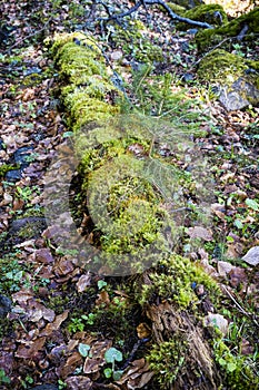 Natural scenery, Polana mountains, Slovakia