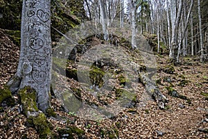 Natural scenery, Polana mountains, Slovakia