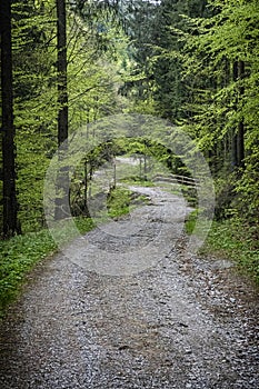 Natural scenery, Polana mountains, Slovakia