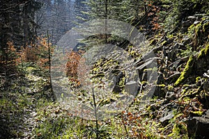 Natural scenery, Polana mountains, Slovakia