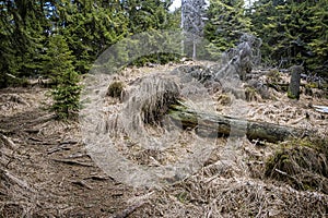 Natural scenery, Polana mountains, Slovakia