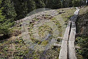 Natural scenery, Polana mountains, Slovakia