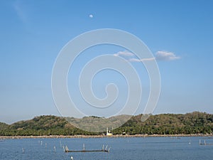 A natural scenery in Rowo Jombor lake, Klaten, Indonesia