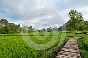 The natural scenery of Yangshuo, Guilin, China