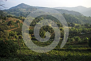 Natural scenes from hill rood