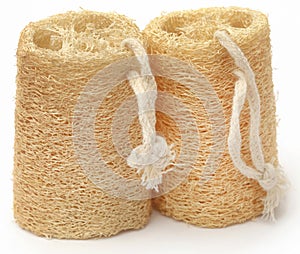 Natural scrubber of dried Ridge gourd