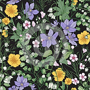 Natural seamless pattern with gorgeous tender blooming flowers and flowering herbaceous plants on black background