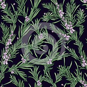 Natural seamless pattern with green rosemary plants and blooming flowers on black background. Wild herb hand drawn in