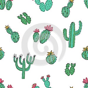 Natural seamless pattern with hand drawn green cactus on white background. Blooming Mexican desert plants. Botanical