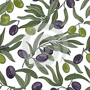 Natural seamless pattern with olive tree branches, leaves, black and green ripe fruits or drupes on white background