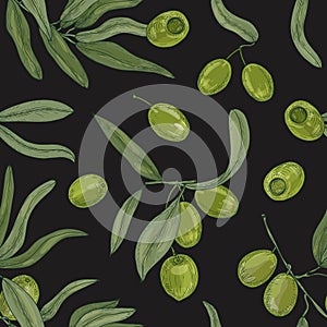 Natural seamless pattern with olive tree branches, leaves, green organic raw fruits or drupes on white background