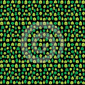 Natural seamless pattern or texture with trees photo