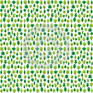 Natural seamless pattern or texture with trees photo