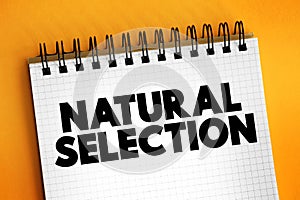Natural Selection is the differential survival and reproduction of individuals due to differences in phenotype, text concept on