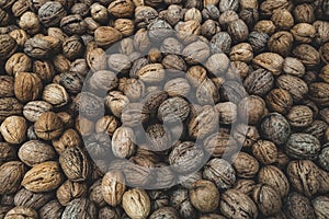 Natural in shell walnuts background abstract texture pattern