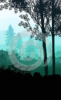 Natural silhouettes forest mountains horizon hills in Evening Sunrise and sunset Landscape wallpaper Illustration vector style