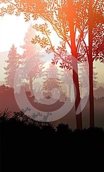 Natural silhouettes forest mountains horizon hills in Evening Sunrise and sunset Landscape wallpaper Illustration vector style